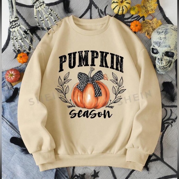Pumpkin Season 🎃 Pullover 🍂 - Picture 4 of 5
